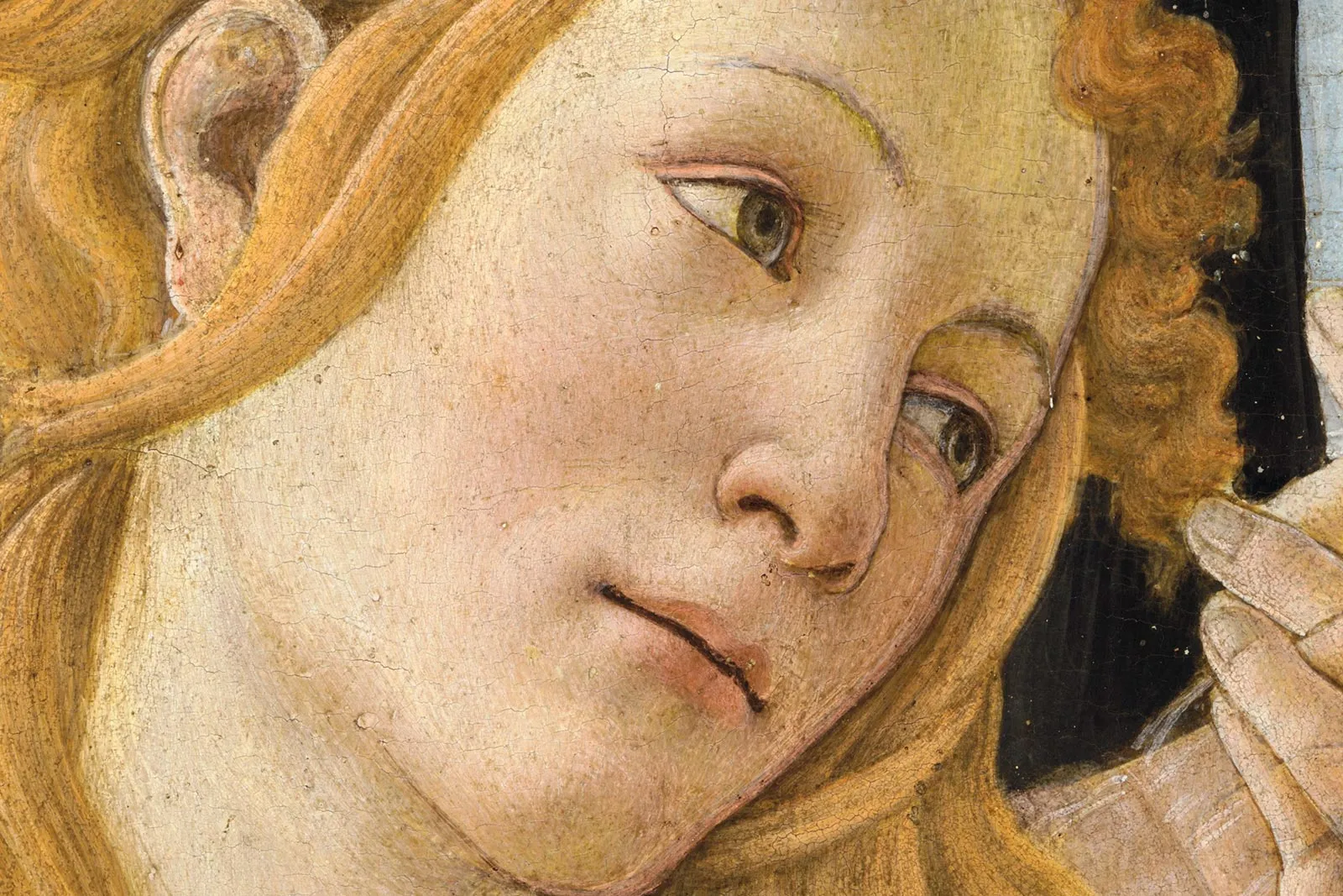 波提切利《春》超高清大图局部 (1)