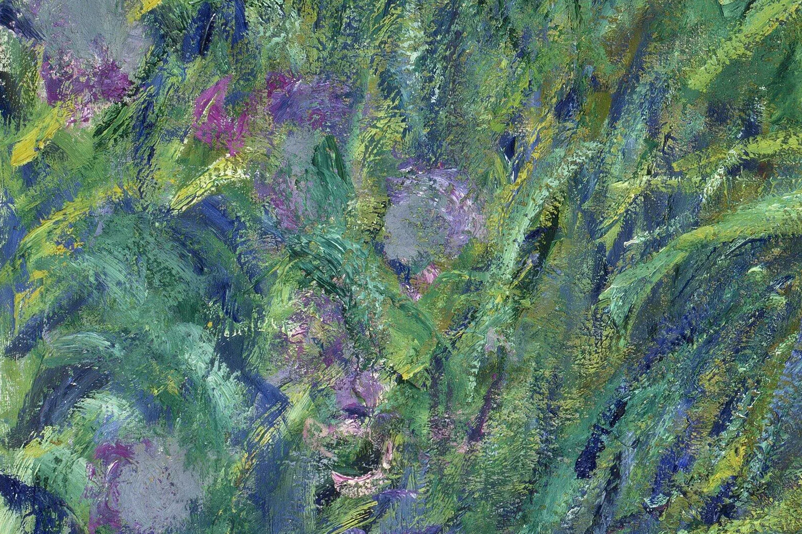 印象派莫奈作品《鸢尾花》局部 (1)