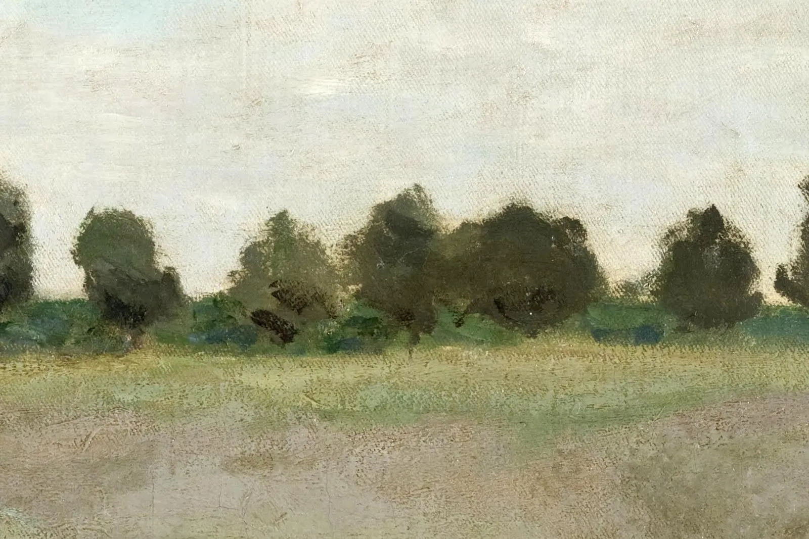 克劳德·莫奈《阿让特伊附近的野罂粟花花海》局部 (4)