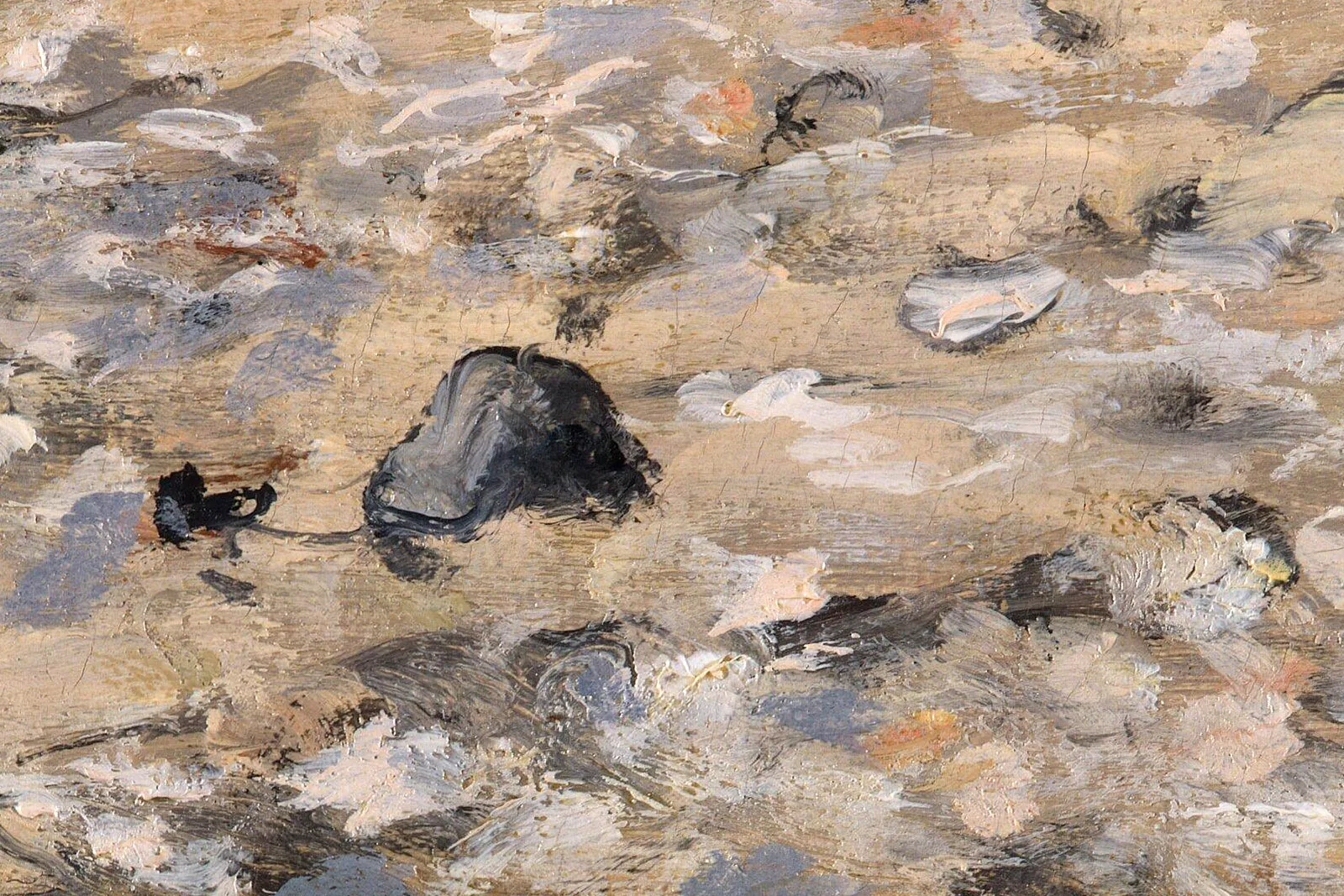 莫奈风景《拉埃沃角,圣阿德雷斯》局部 (4)