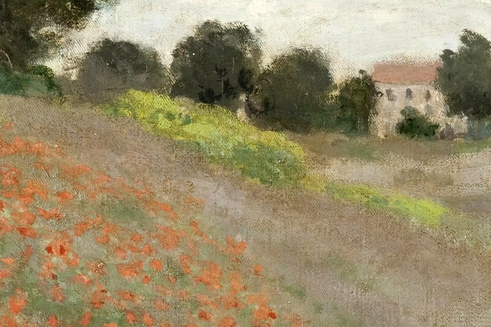 克劳德·莫奈《阿让特伊附近的野罂粟花花海》局部 (2)