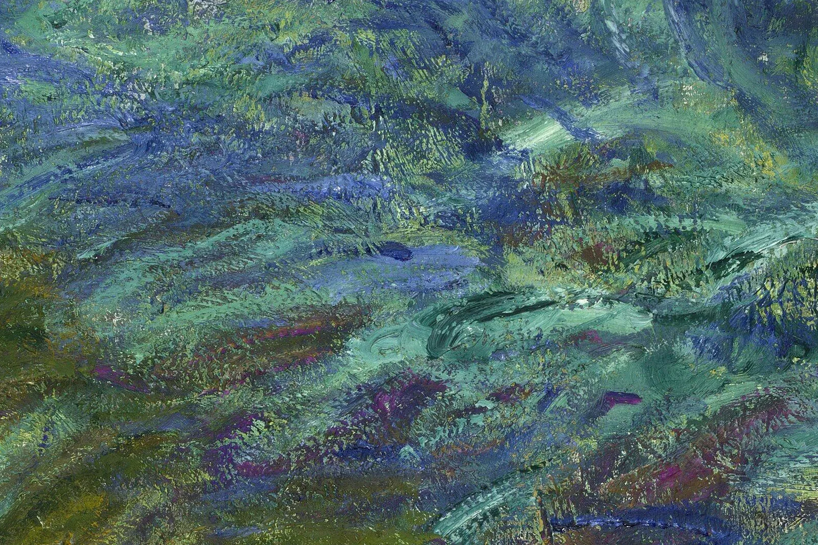 印象派莫奈作品《鸢尾花》局部 (5)