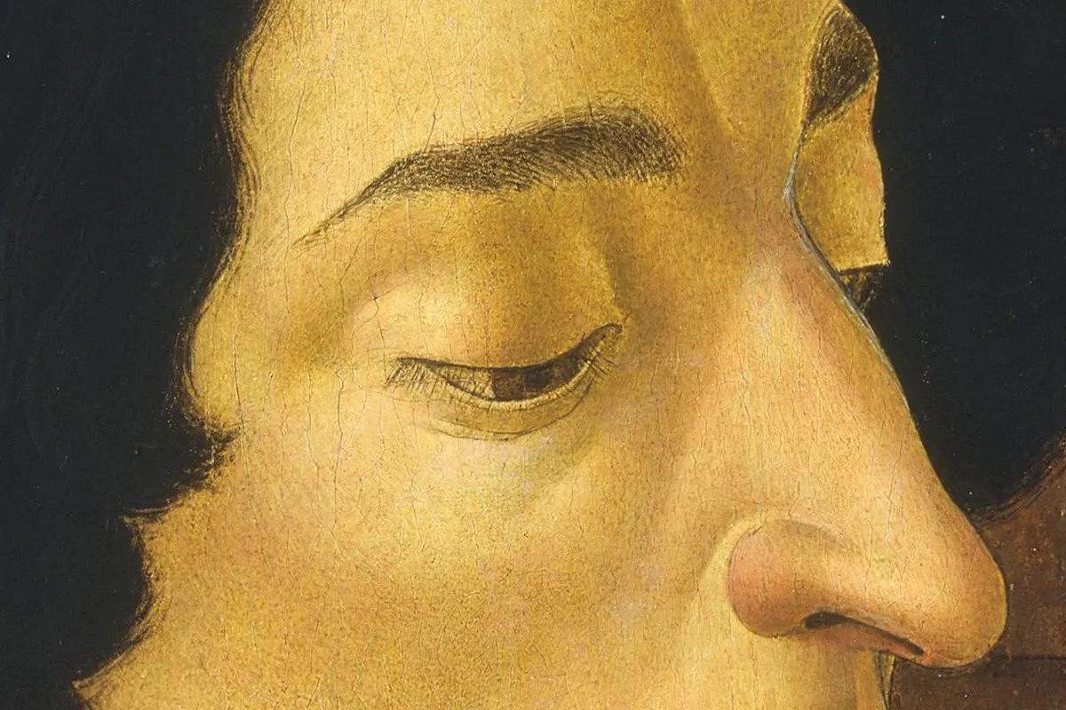 朱利亚诺·德·梅迪奇肖像局部 (1)