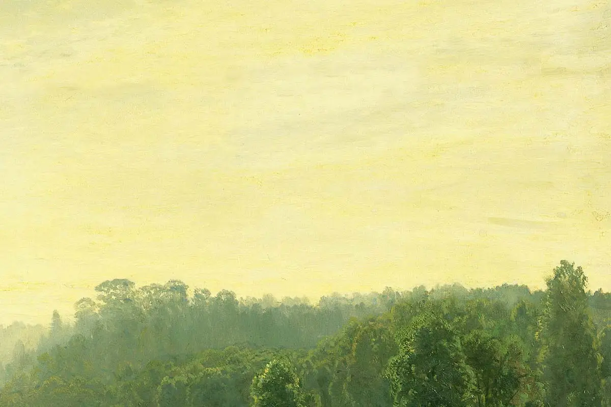 希施金风景画《雾蒙蒙的早晨》局部 (3)