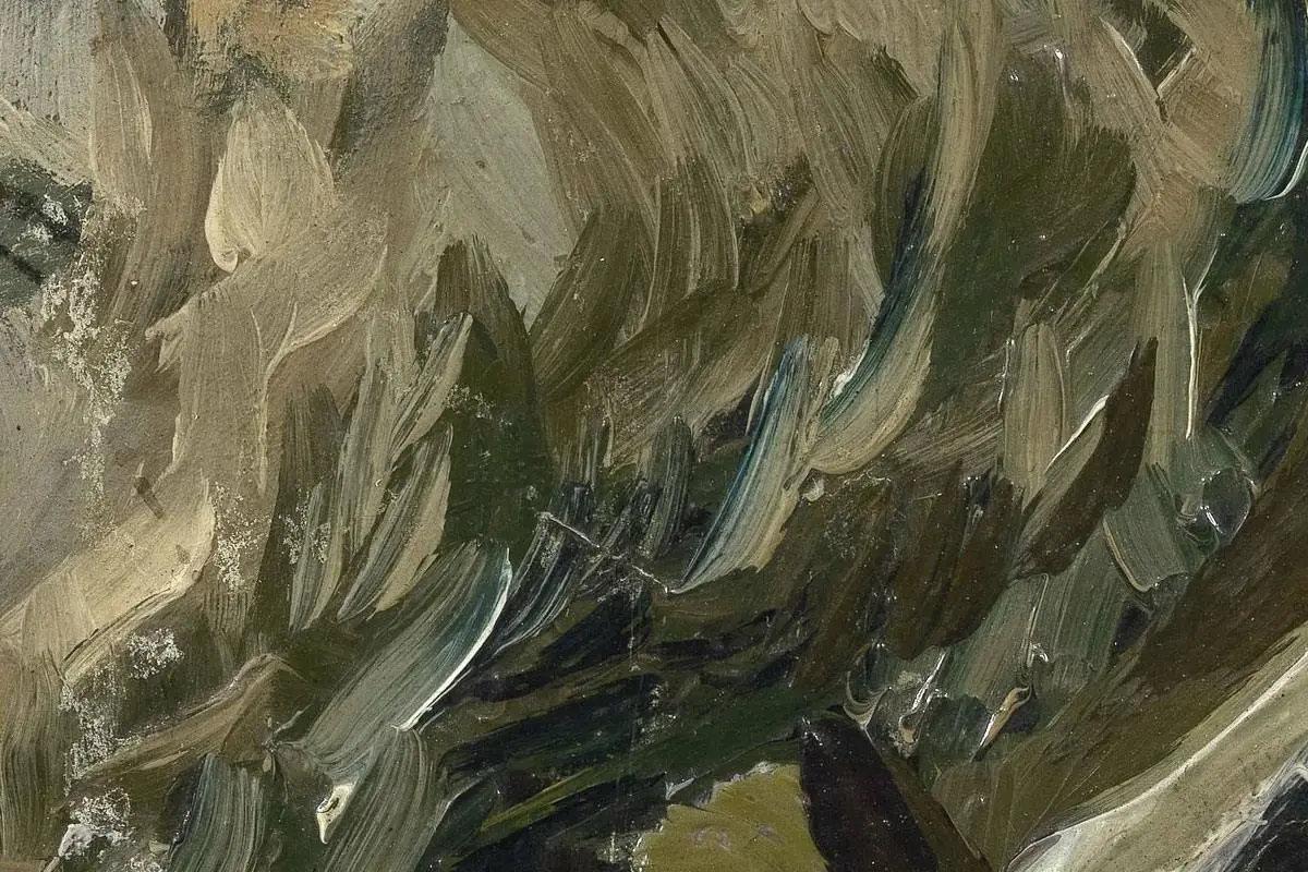 梵高人物肖像画《男老年头像》高清大图局部细节 (4)