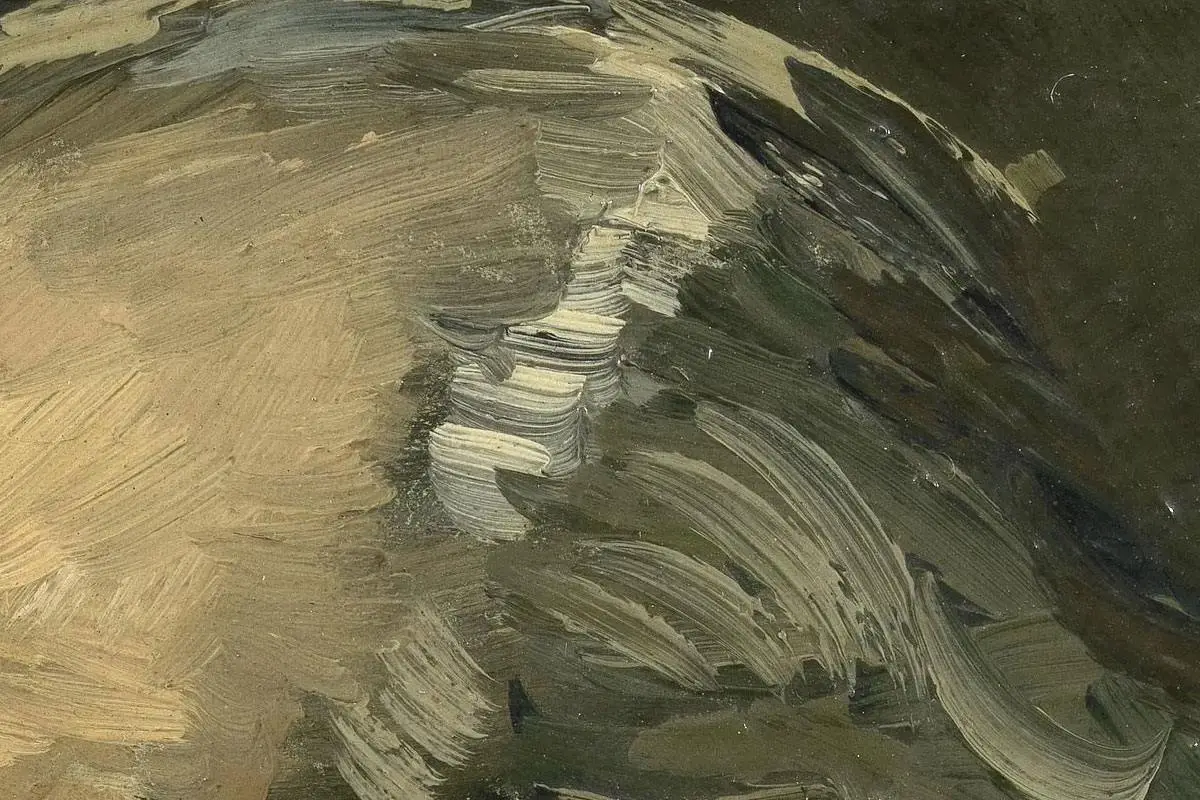 梵高人物肖像画《男老年头像》高清大图局部细节 (6)