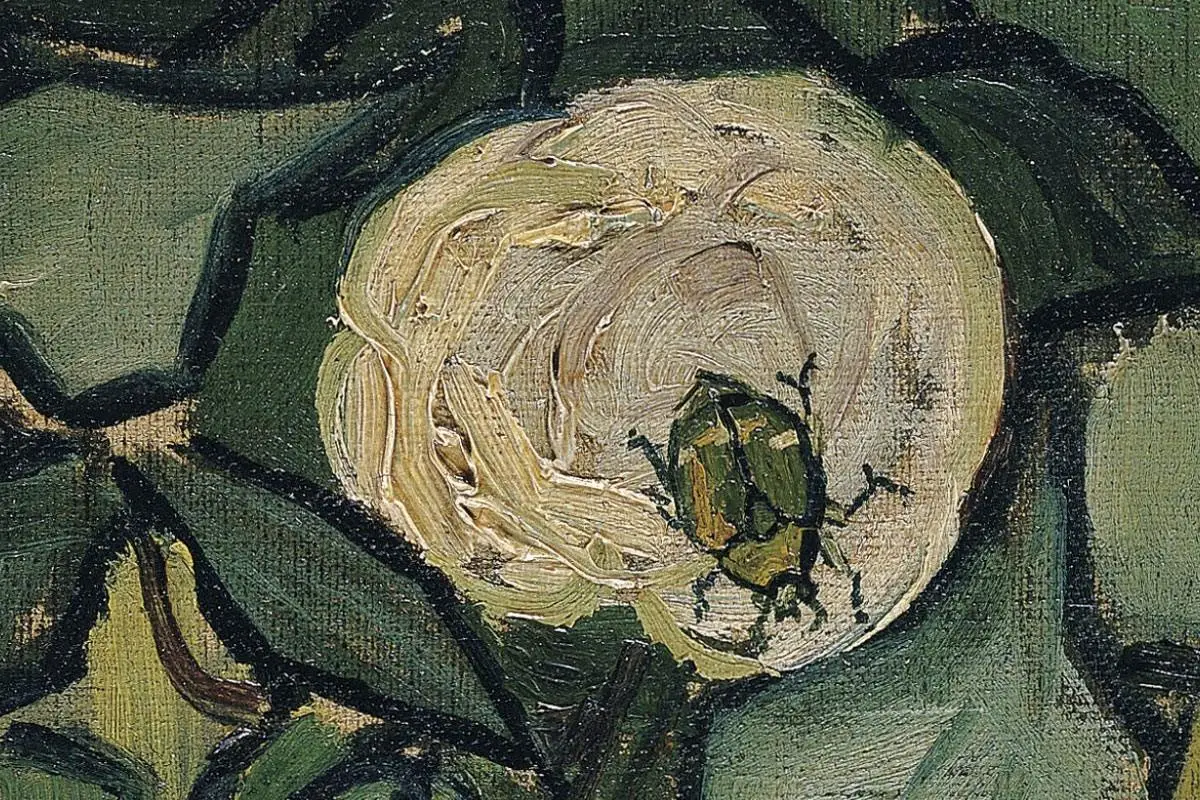 梵高花卉画作品《玫瑰和甲虫》高清大图局部细节 (2)