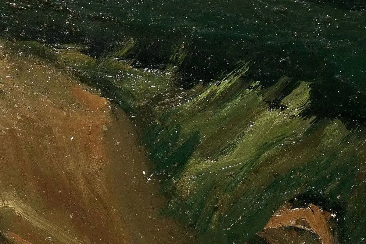 梵高油画头像作品《戴帽子的中年男子头像》高清大图局部细节 (5)