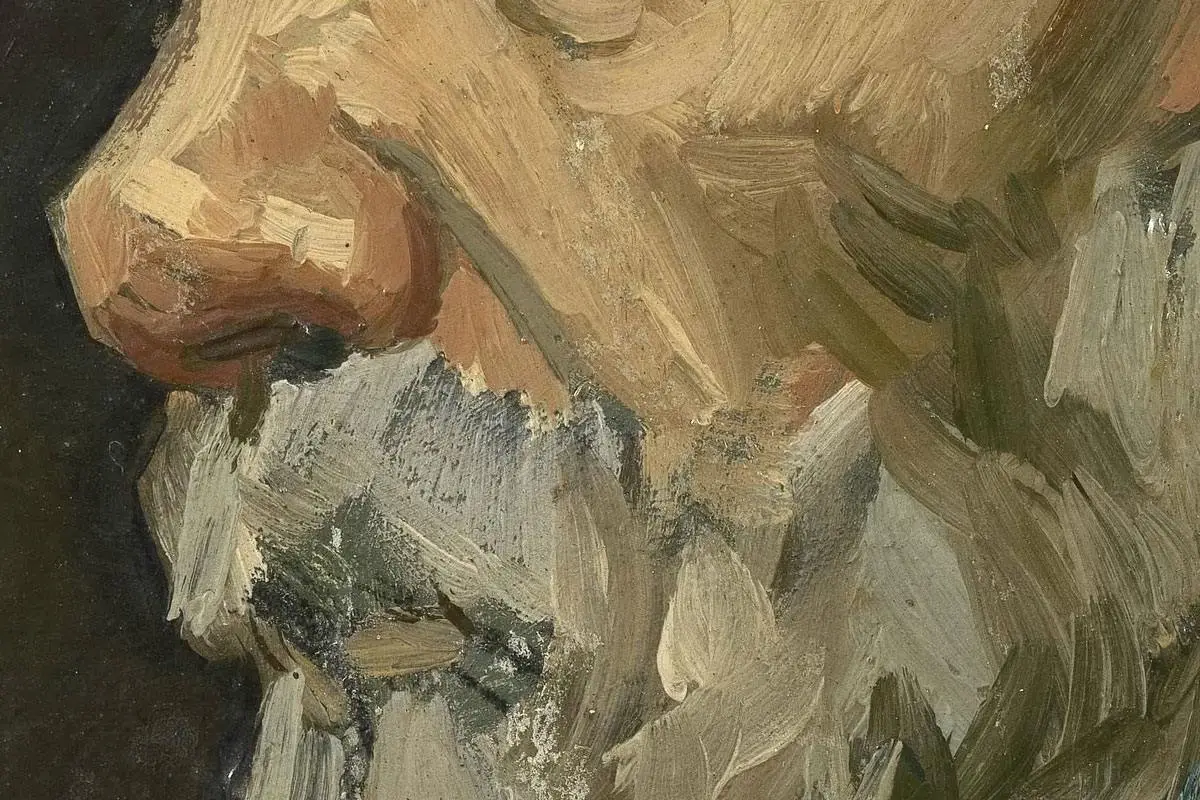 梵高人物肖像画《男老年头像》高清大图局部细节 (2)