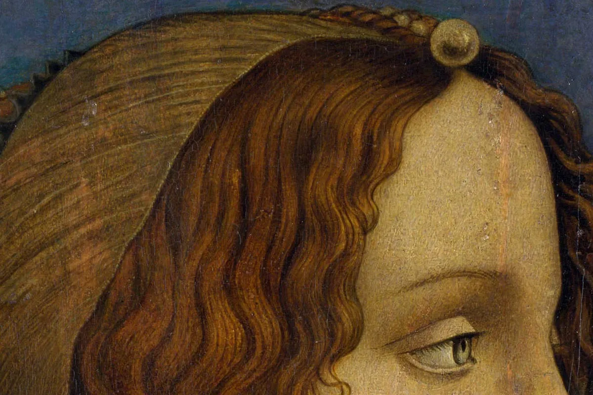 波提切利肖像画作品《侧面女士肖像》局部 (3)