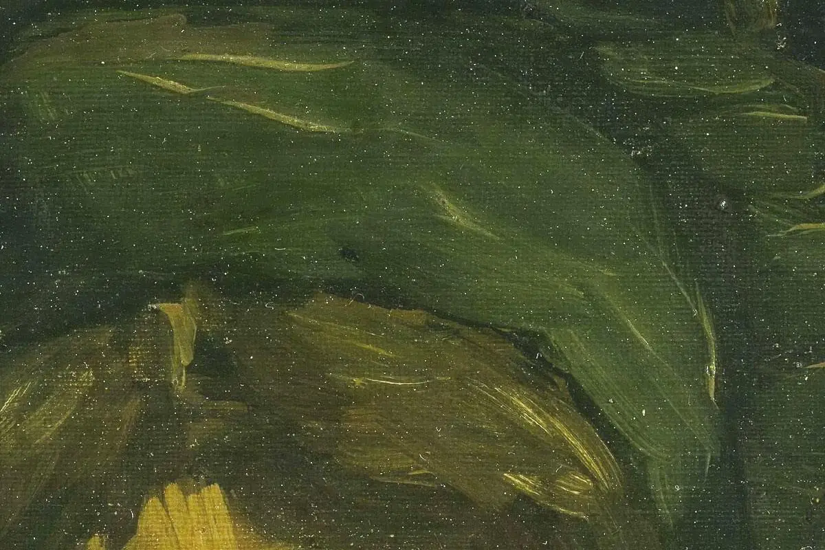 梵高油画习作《一个农妇的头像》局部 (4)