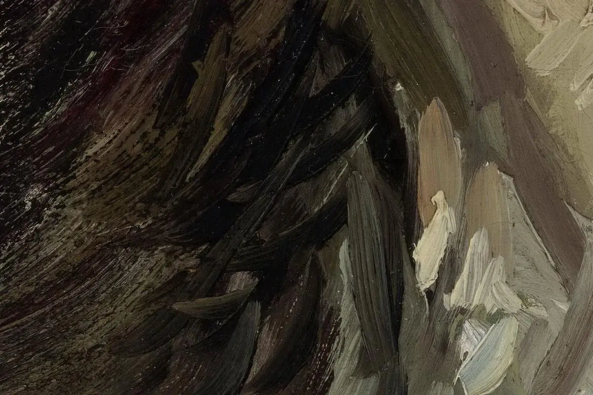 梵高油画人物头像《头发松弛的女人头像》局部细节 (5)