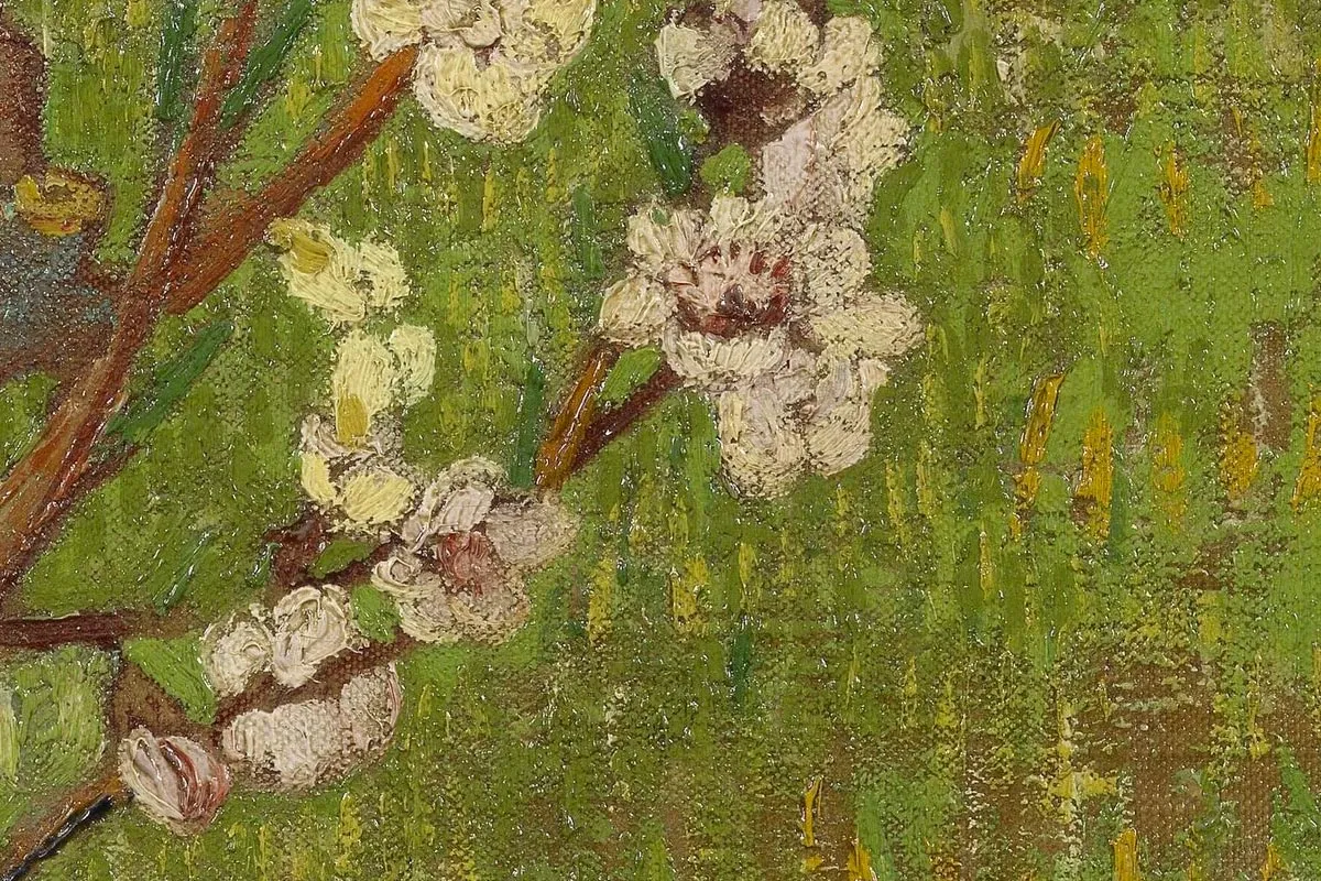 梵高作品《盛开的杏花》高清大图局部细节 (3)
