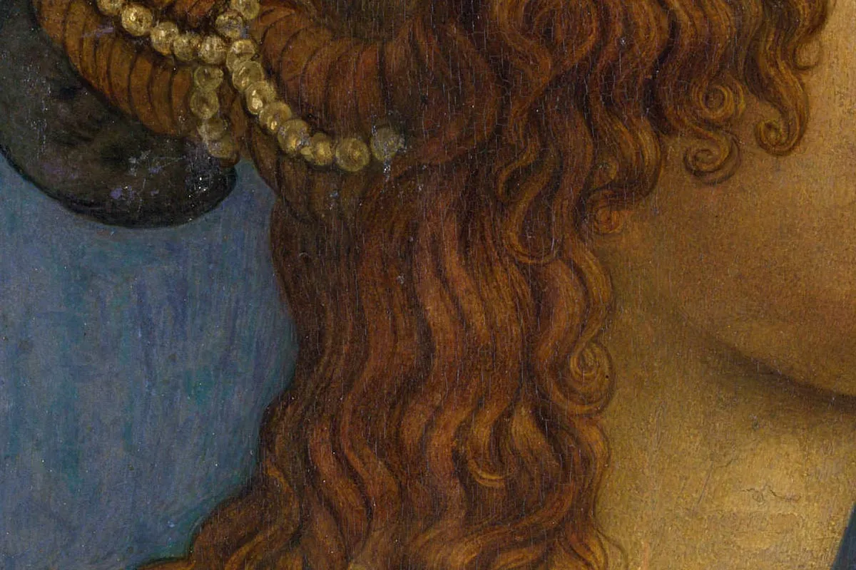 波提切利肖像画作品《侧面女士肖像》局部 (4)