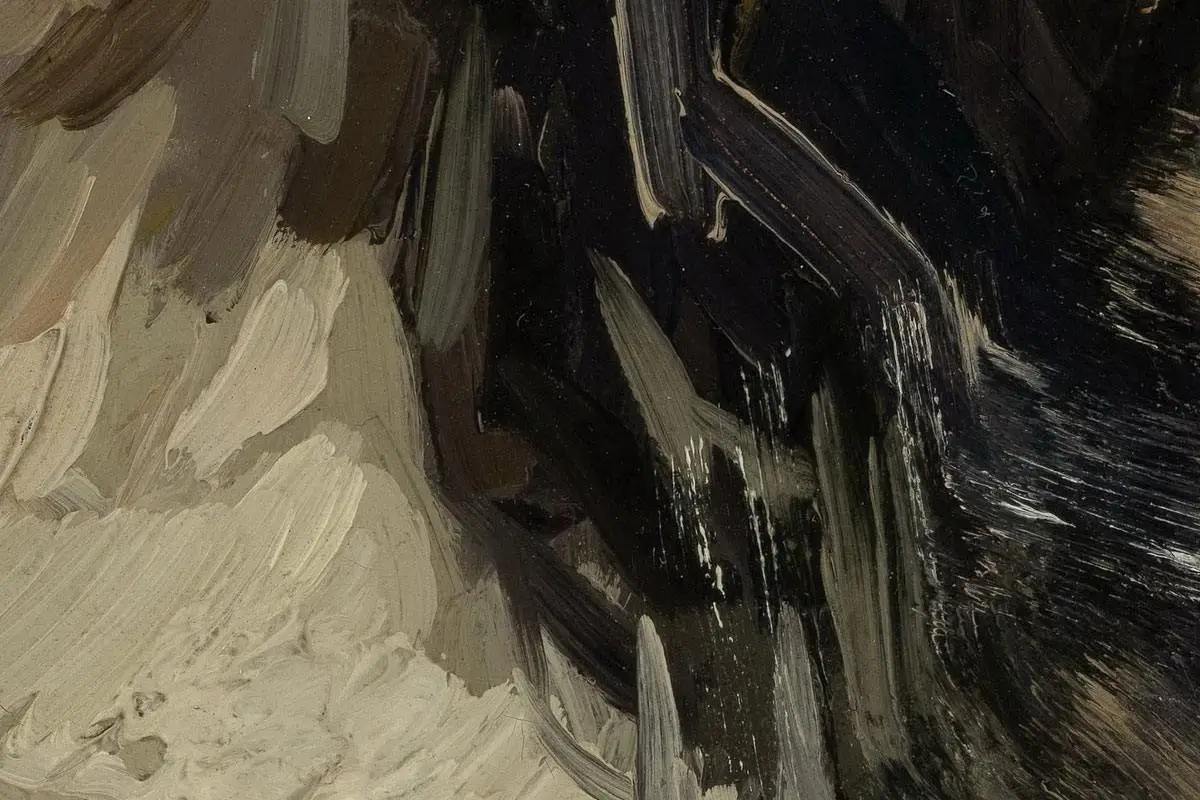 梵高油画人物头像《头发松弛的女人头像》局部细节 (4)