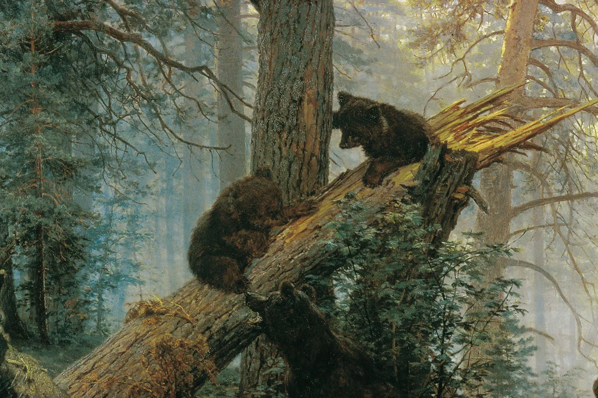 希施金代表作《松林的早晨》局部 (1)