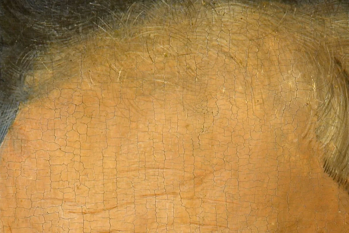 扬·凡·艾克肖像画作品《红衣主教尼科洛·阿尔贝加蒂》局部 (5)