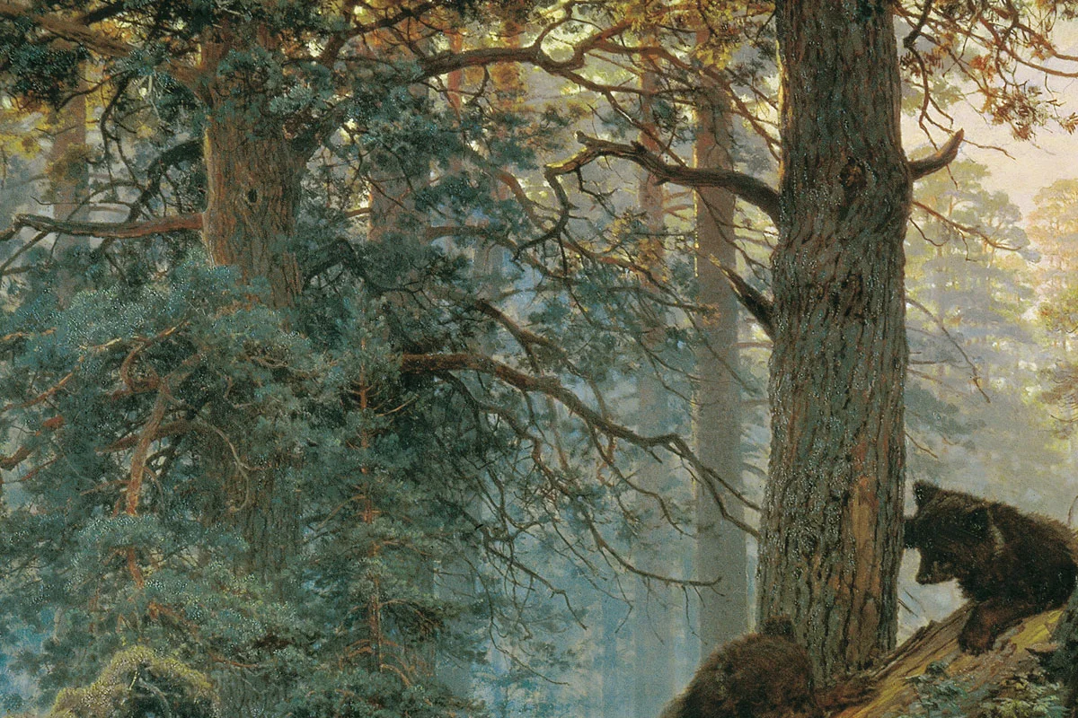 希施金代表作《松林的早晨》局部 (4)