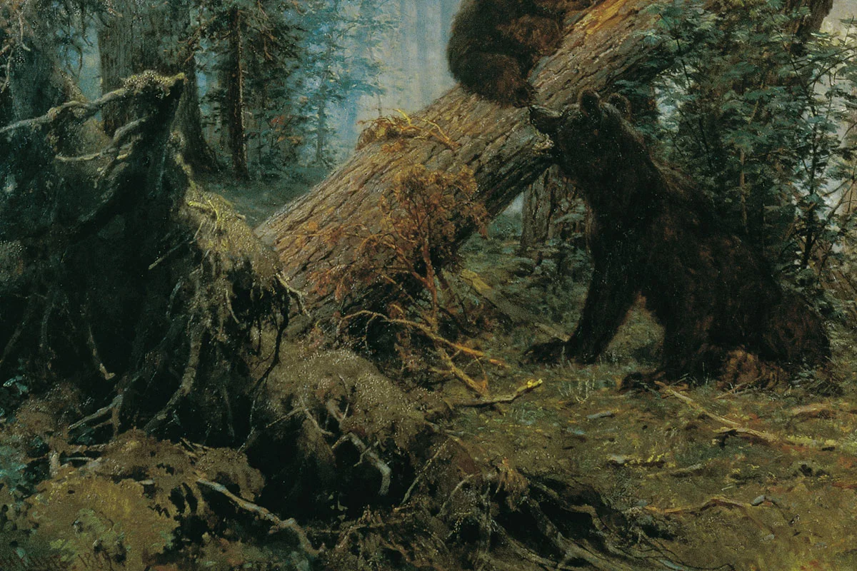 希施金代表作《松林的早晨》局部 (3)