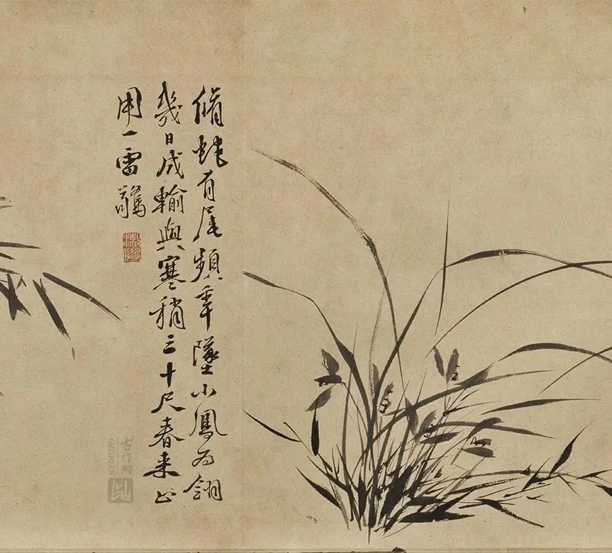 徐渭水墨花卉《墨花九段图卷》_03