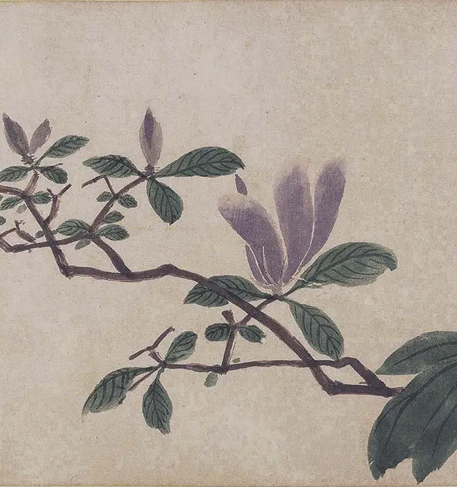 沈周《四季花卉图》_22