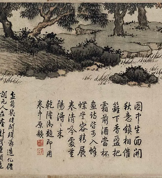 沈周山水《盆菊幽赏图》卷_12