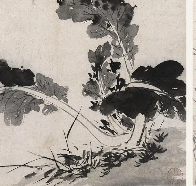 陈淳写意花卉《陈淳墨花图册》_08