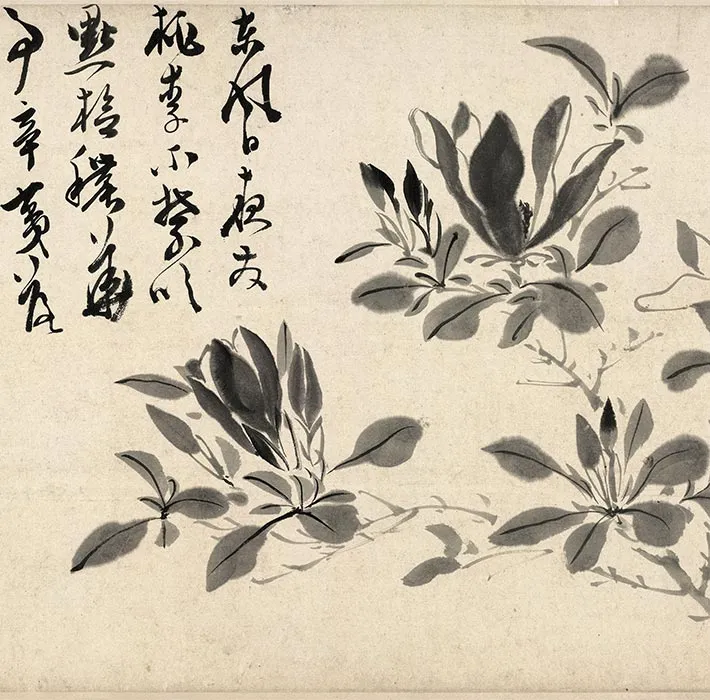 陈淳写意水墨画《墨笔花卉图》_11