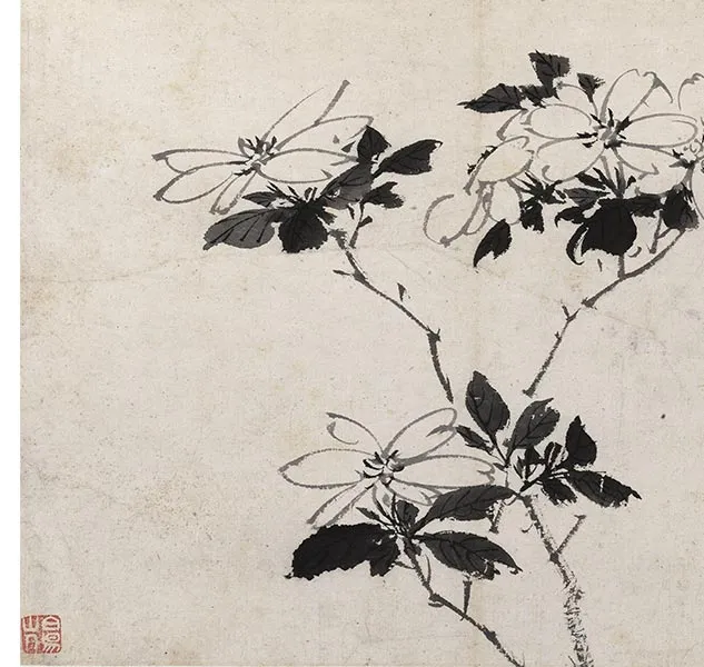 陈淳写意花卉《陈淳墨花图册》_25