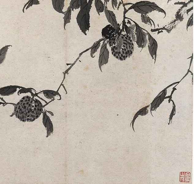 陈淳写意花卉《陈淳墨花图册》_24