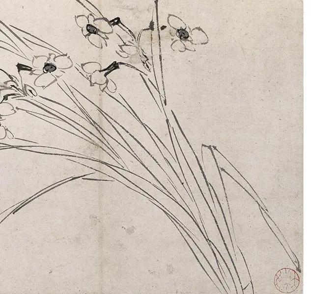陈淳写意花卉《陈淳墨花图册》_20