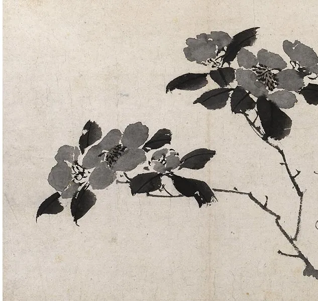 陈淳写意花卉《陈淳墨花图册》_21