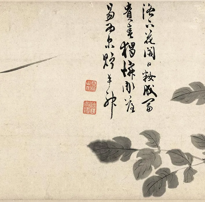 陈淳写意水墨画《墨笔花卉图》_14