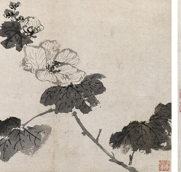 陈淳写意花卉《陈淳墨花图册》_12