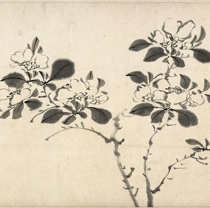陈淳写意水墨画《墨笔花卉图》_02