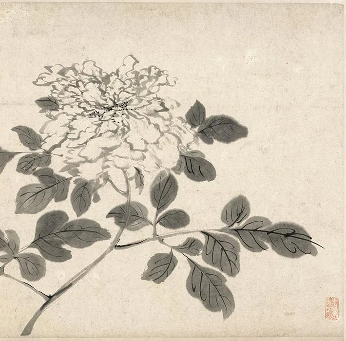陈淳写意水墨画《墨笔花卉图》_15