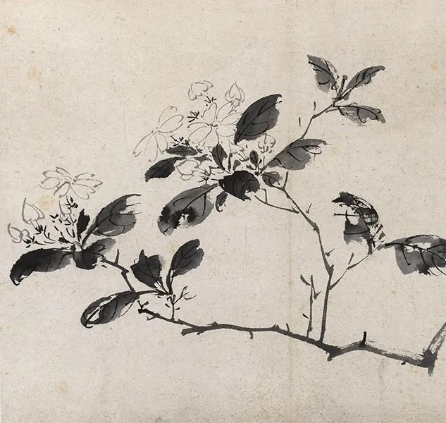 陈淳写意花卉《陈淳墨花图册》_17
