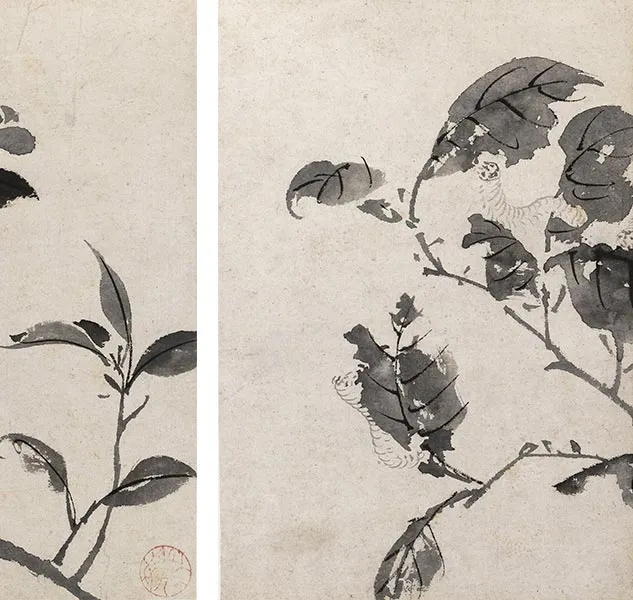 陈淳写意花卉《陈淳墨花图册》_22