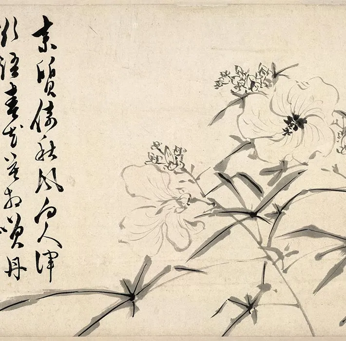 陈淳写意水墨画《墨笔花卉图》_07