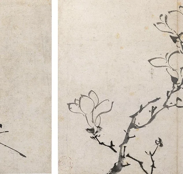 陈淳写意花卉《陈淳墨花图册》_14