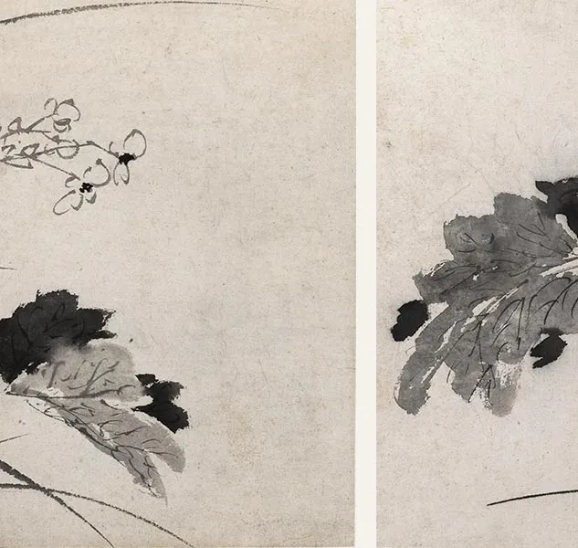 陈淳写意花卉《陈淳墨花图册》_07