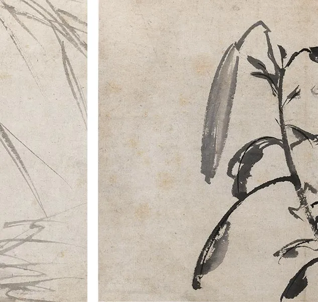 陈淳写意花卉《陈淳墨花图册》_10