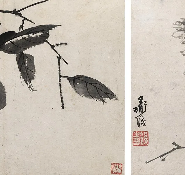 陈淳写意花卉《陈淳墨花图册》_27