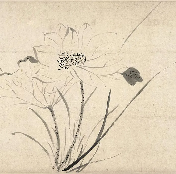 陈淳写意水墨画《墨笔花卉图》_13