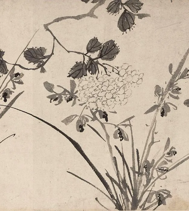 陈淳水墨花卉图卷_11