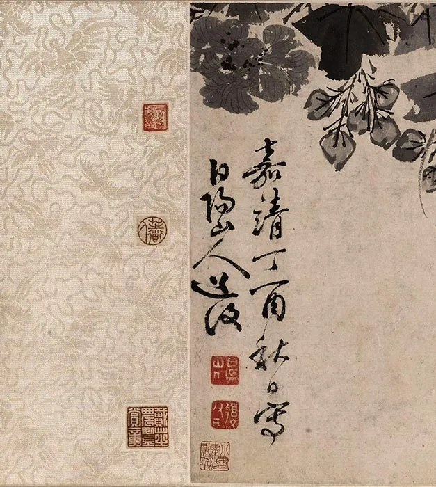 陈淳水墨花卉图卷_01