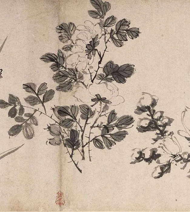 陈淳水墨花卉图卷_12