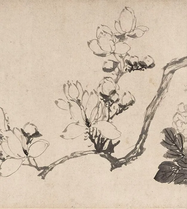 陈淳水墨花卉图卷_13