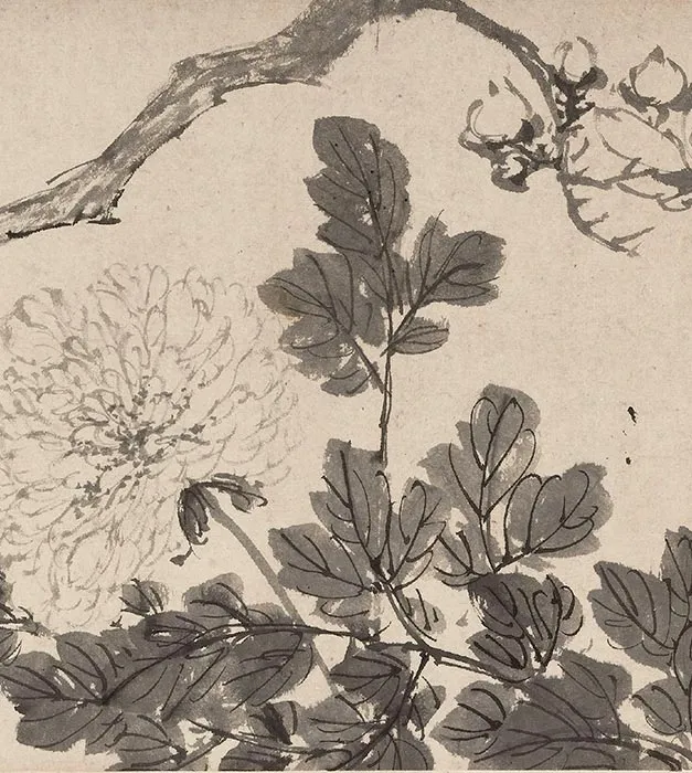 陈淳水墨花卉图卷_14