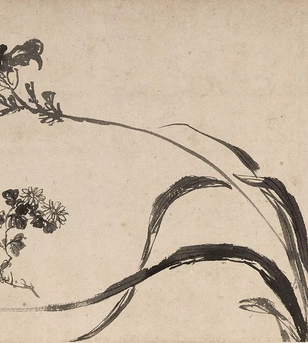 陈淳水墨花卉图卷_06